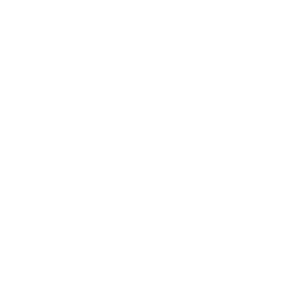 rmi25 logo